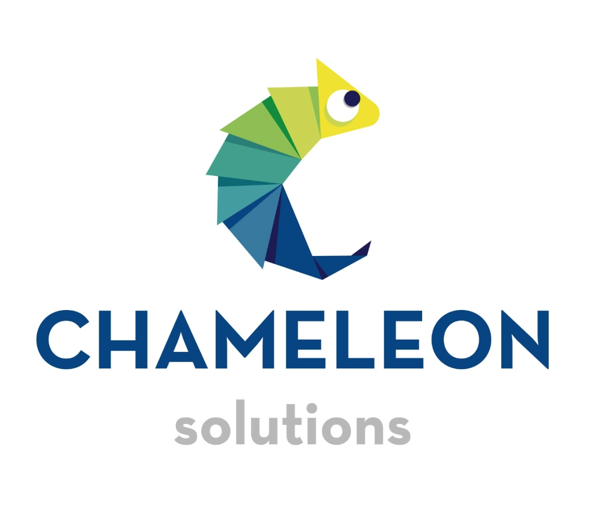 Chameleon Solutions